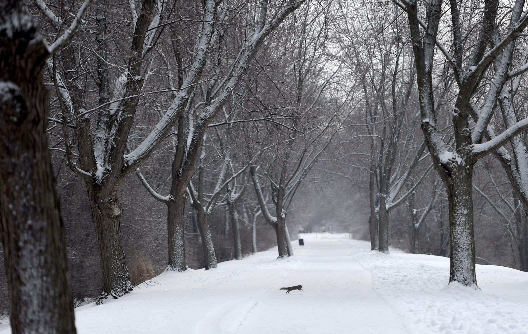 SNOW